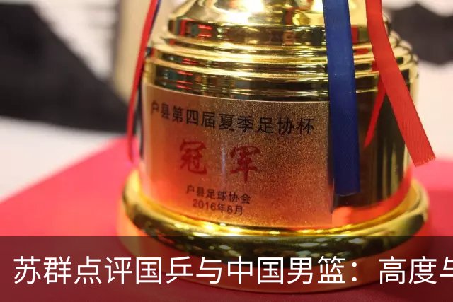 苏群点评国乒与中国男篮：高度与低谷背后的深层次原因